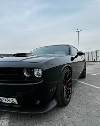 Dodge Challenger cena 235000 przebieg: 9000, rok produkcji 2021 z Września małe 254